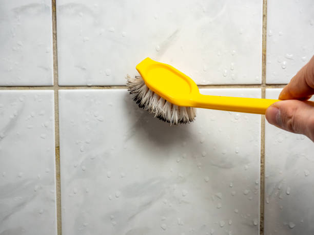 Best Post-Remediation Services in Rockford, MI